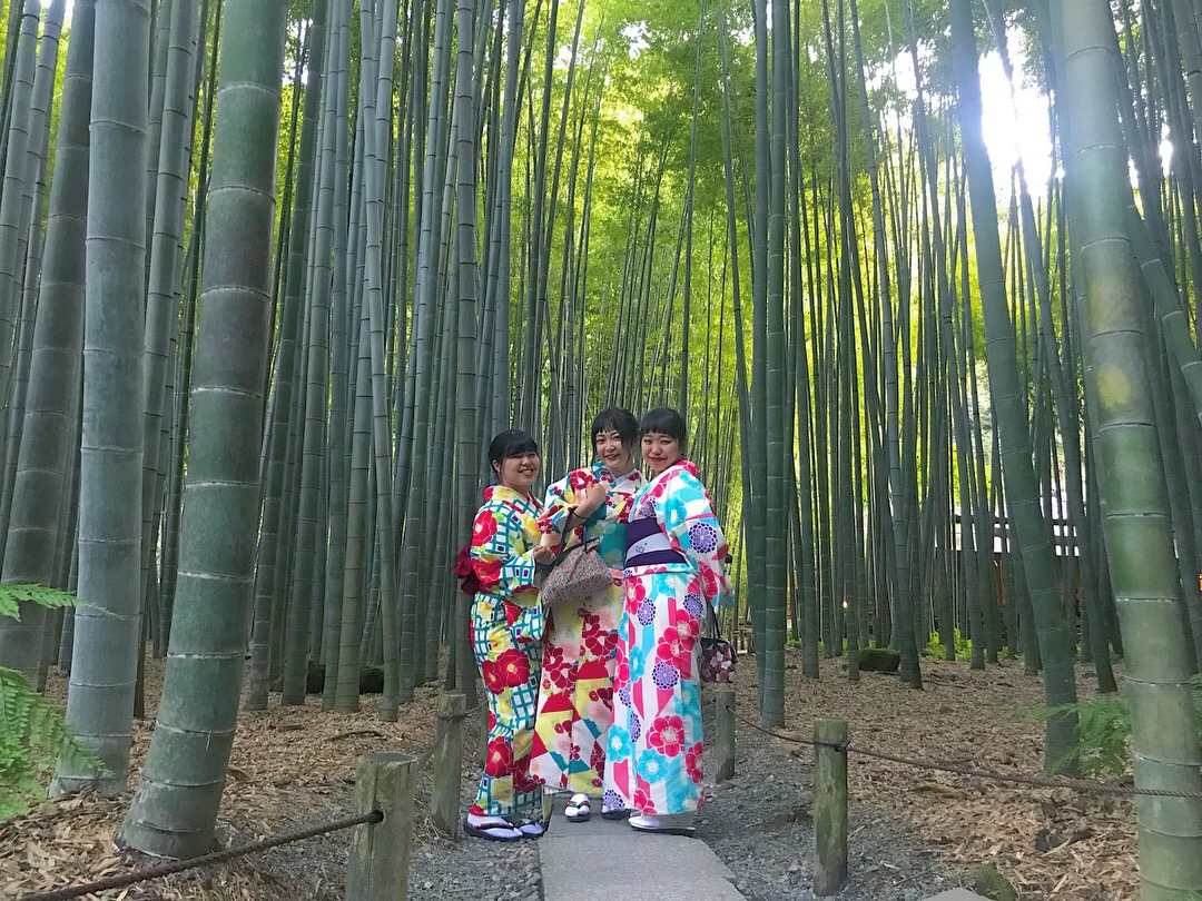 鎌倉で有名な場所にいこう.+*:ﾟ+｡.☆