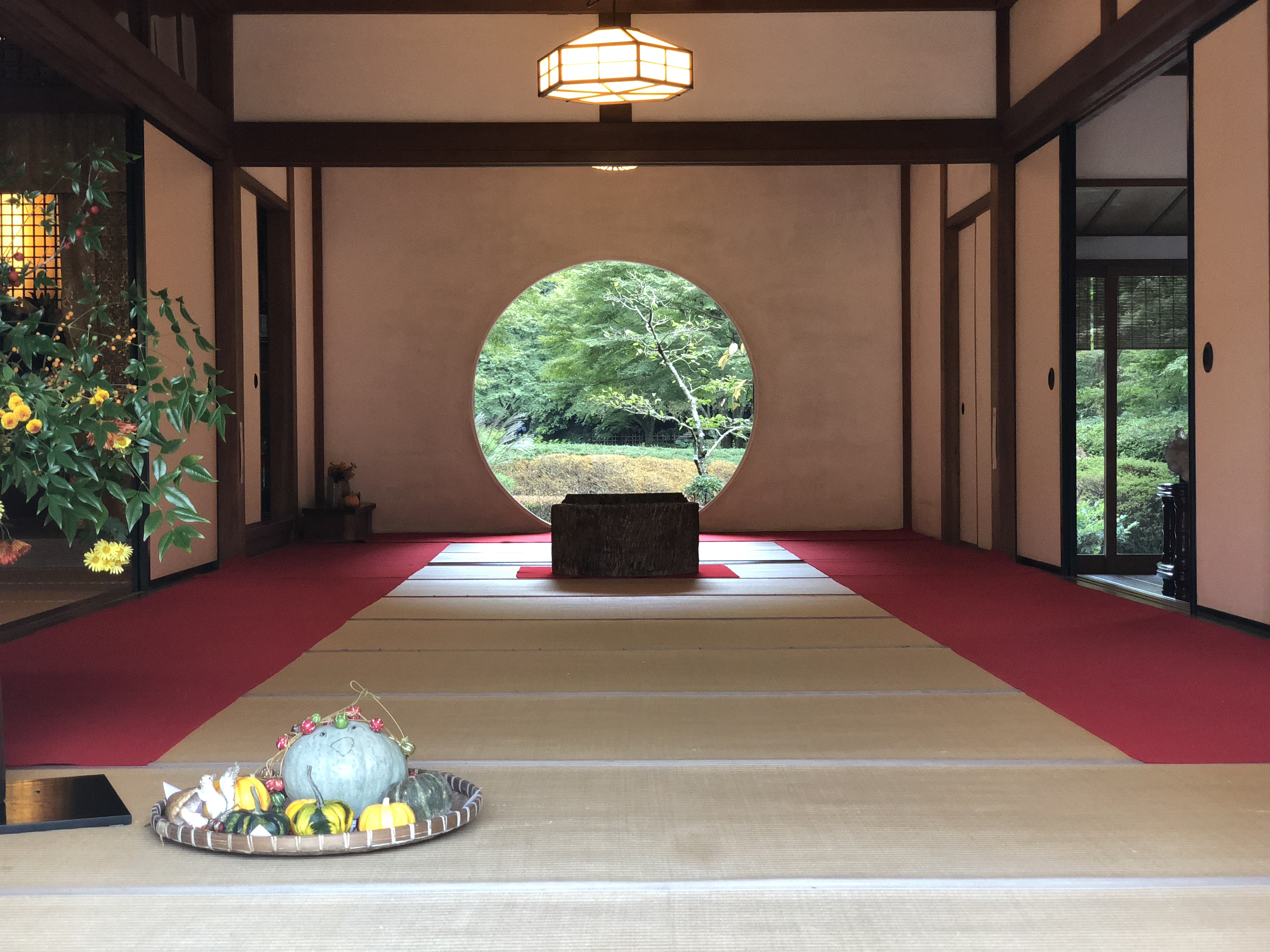 秋の明月院