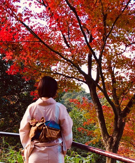 紅葉と桜のコラボ