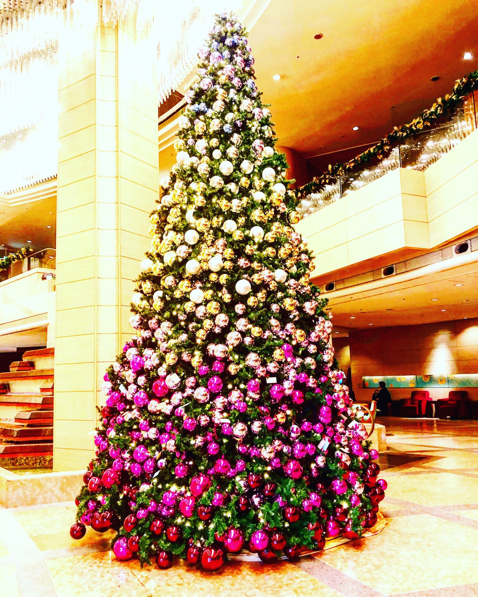 Merry Christmas♪