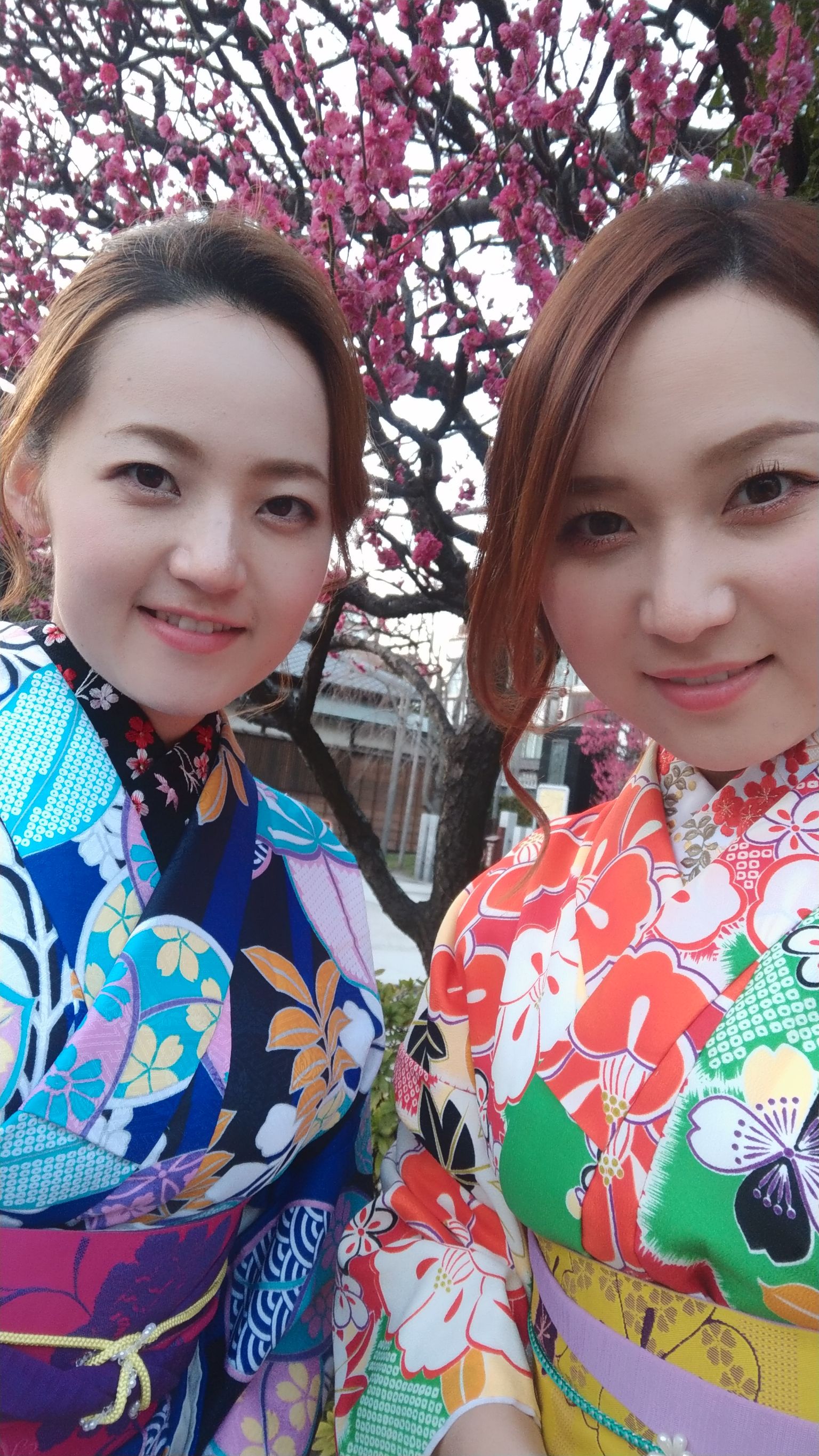 梅が咲き始めました！