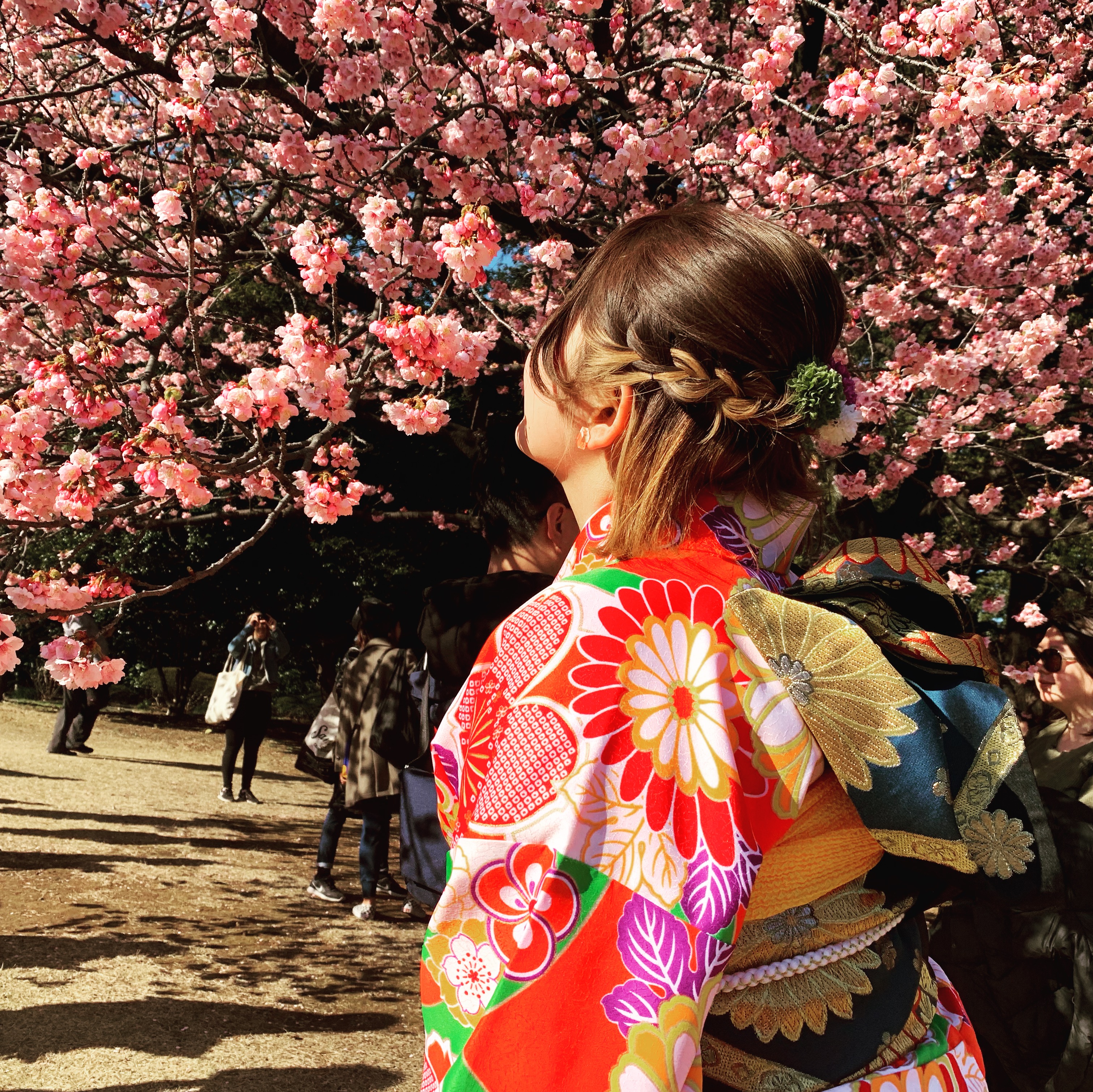 着物でお花見♬