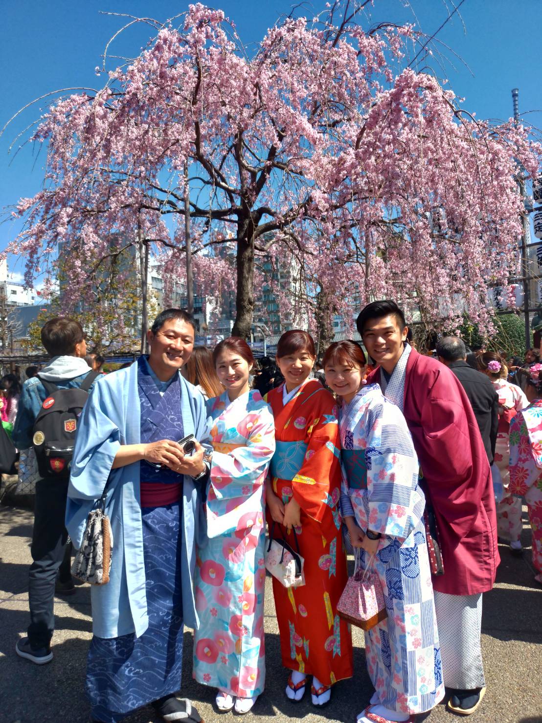枝垂れ桜と☆