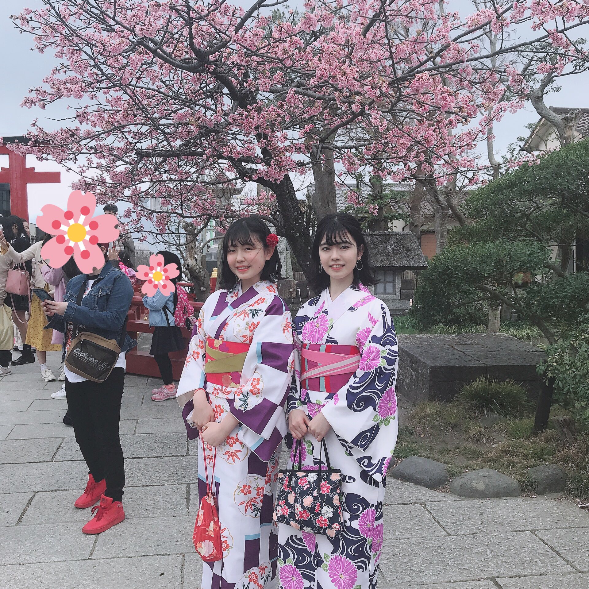 Shop Topics 可愛い格好で 鎌倉で着物 浴衣を楽しむなら 着物レンタルvasara