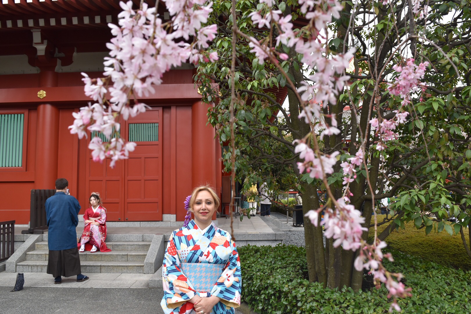 桜と食欲どっちにしますか？