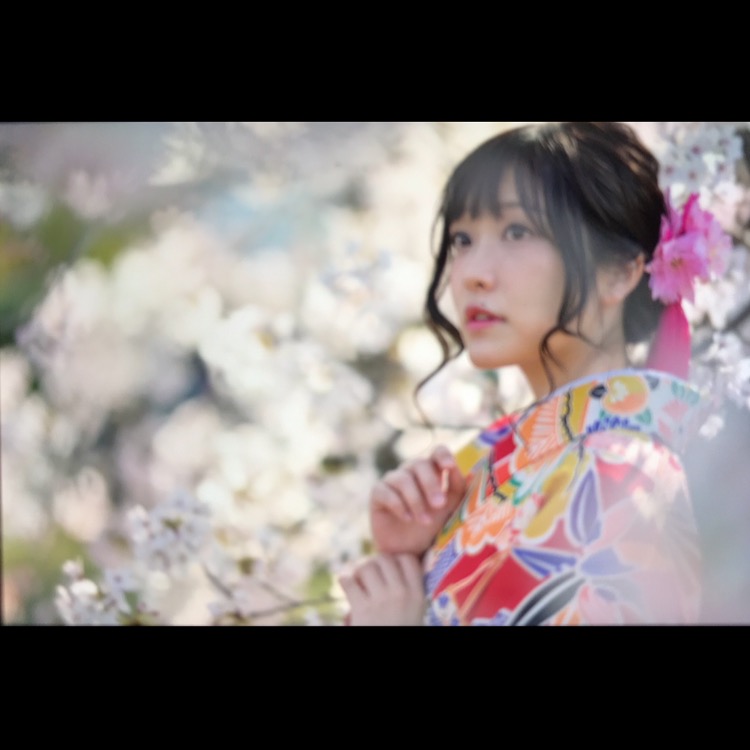 お花見シーズン(*^^*)
