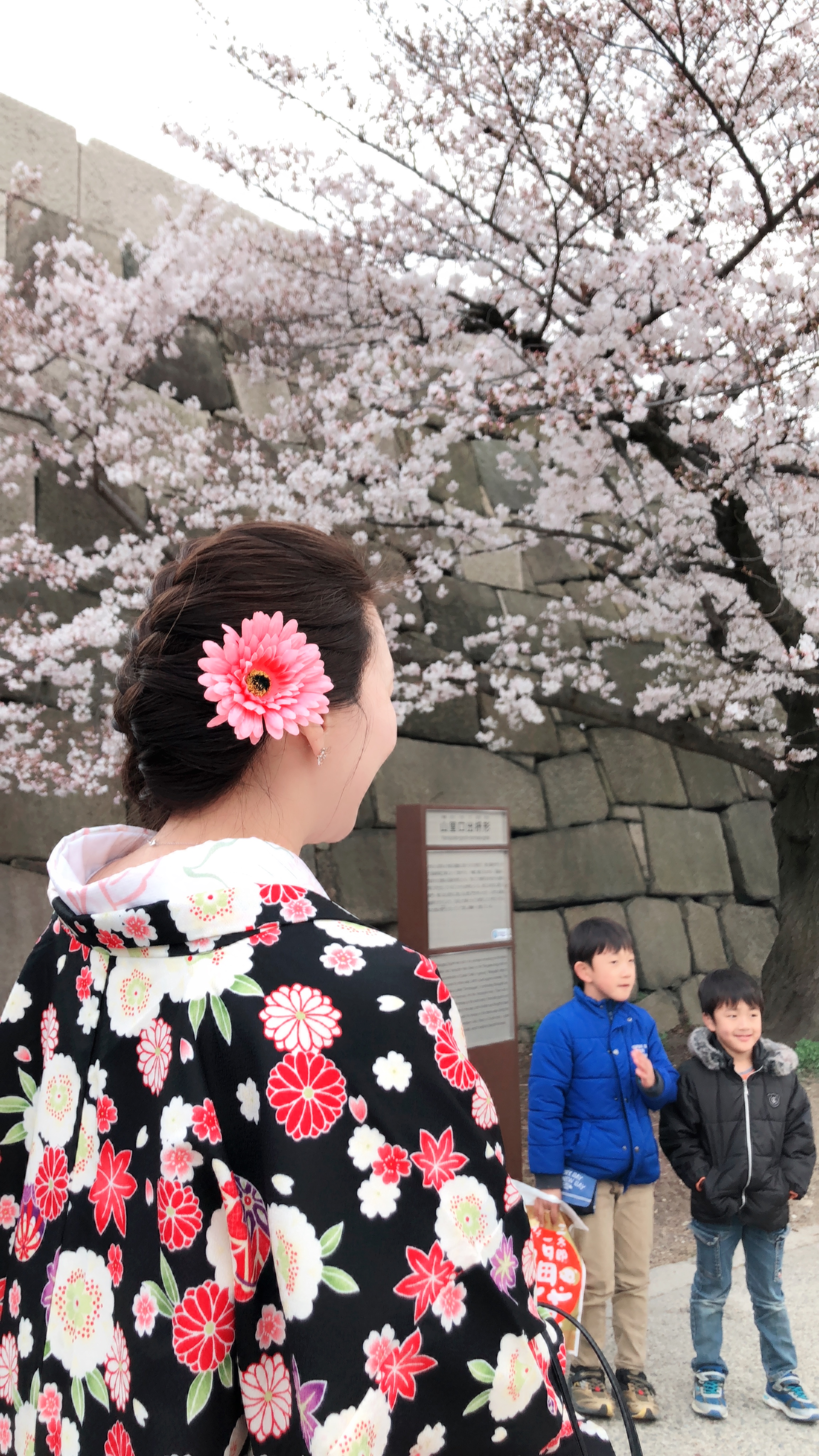 桜の通り抜け・造幣局