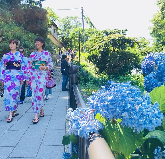 夏はおしゃれに浴衣を着ませんか 夏にピッタリのコーディネートをご紹介 着物大事典 特集版 着物コラム 京都 浅草で着物を楽しむなら 着物レンタルvasara