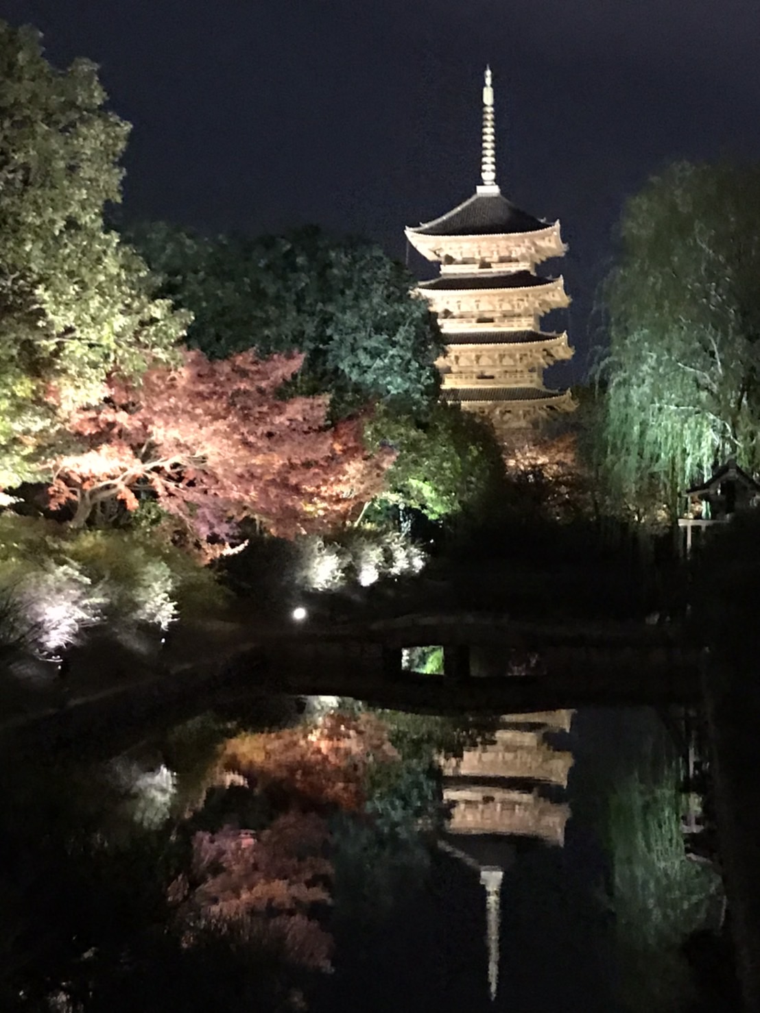 週末は紅葉の見頃です☆ミ