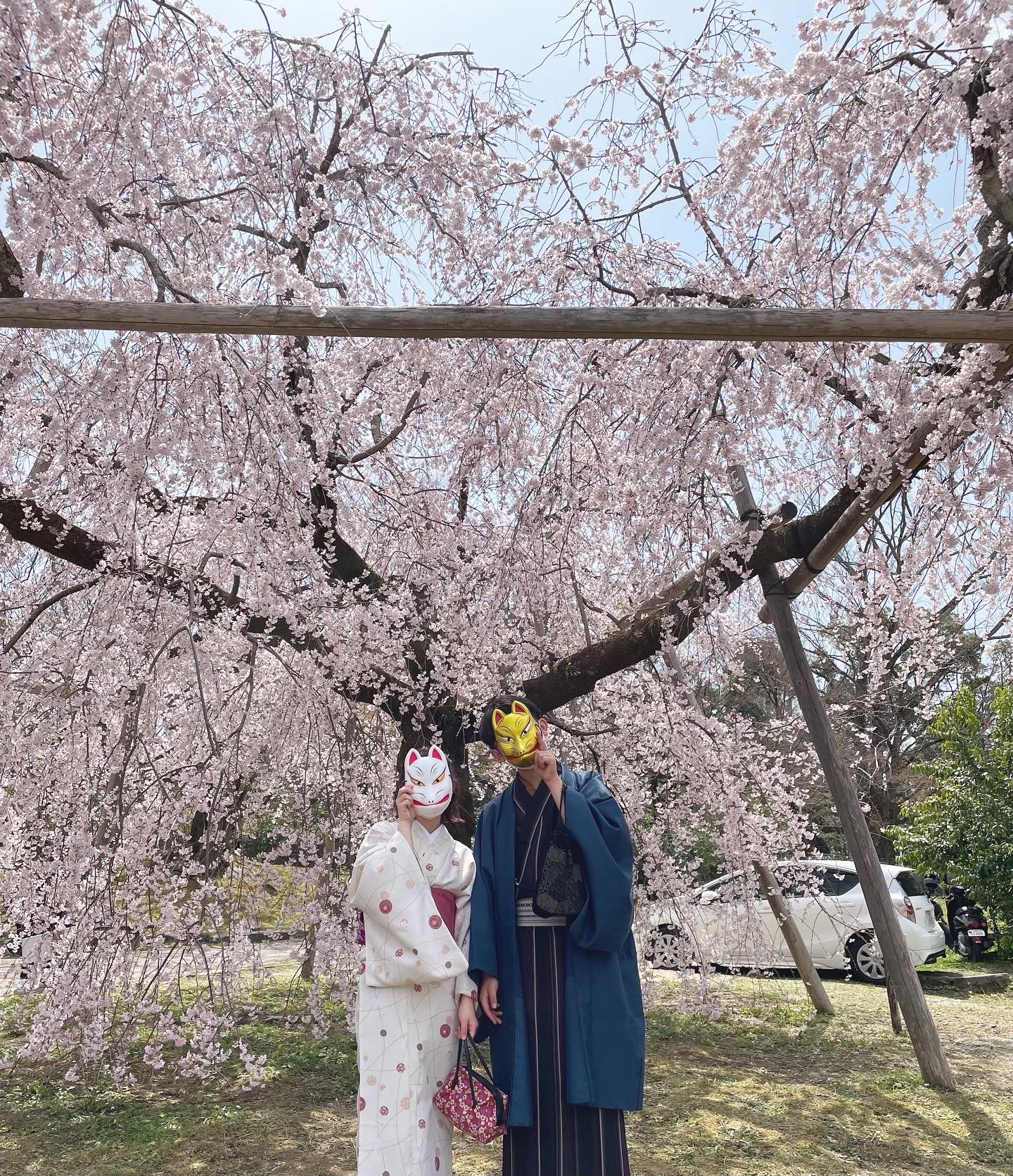 kimono × sakura × kyoto 