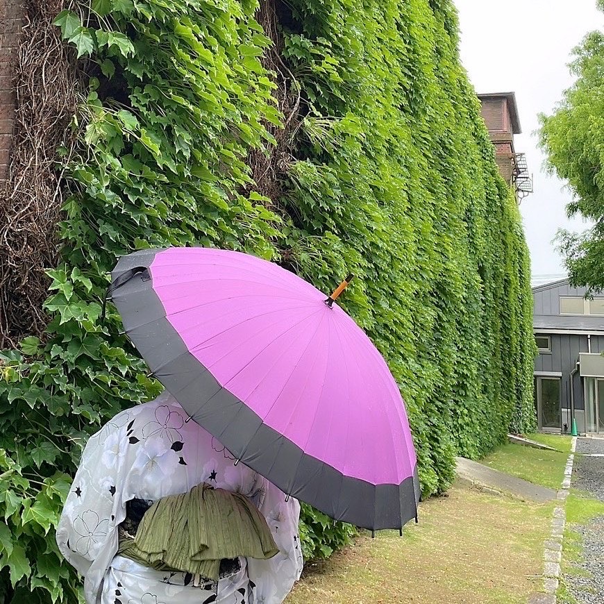 雨の日でも楽しめます❤︎