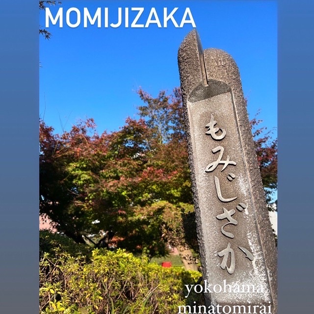‧⁺ ⊹˚.散策にお着物がおすすめ‧⁺ ⊹˚.