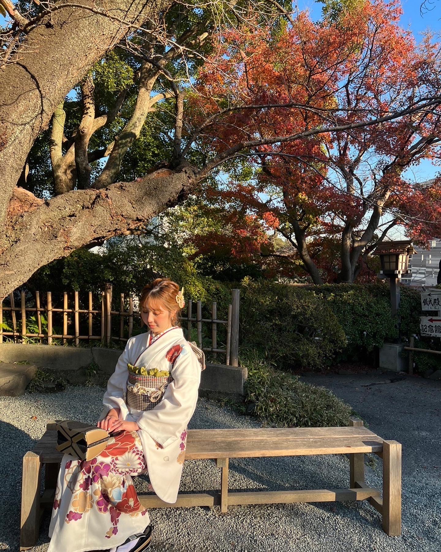 *+:。.。 。.。:+*着物でお出かけ いかがですか。.。:+* ゚ ゜゚ *+:。.。:+* ゚