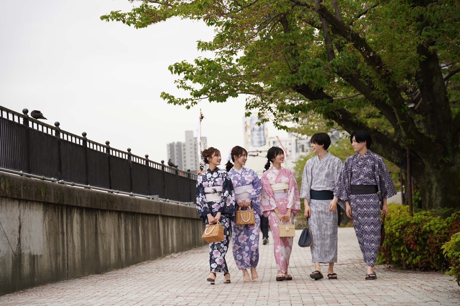 京都 ⚘⚘ 二条城NAKED夏まつり2024　7/26～8/25