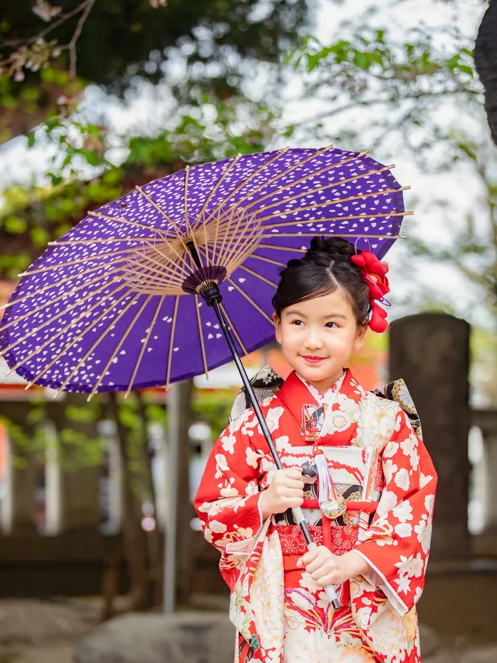 紫の和傘を差す7歳の女の子の七五三着物姿